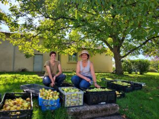 {{brizy_dc_image_alt entityId=