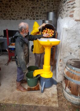 {{brizy_dc_image_alt imageSrc=