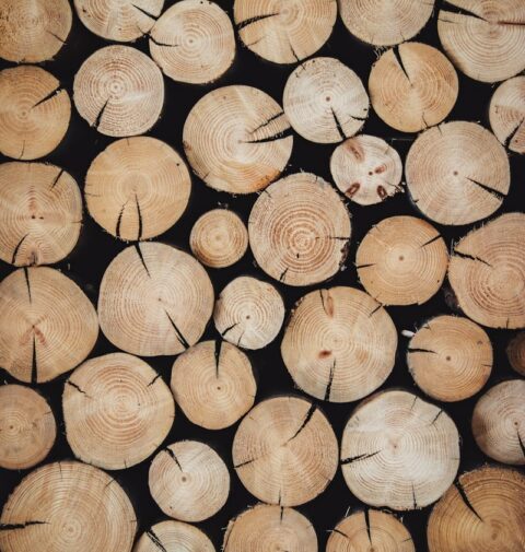 brown wood log lot