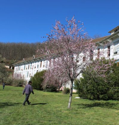 Projet Sanatorium Bergesserin