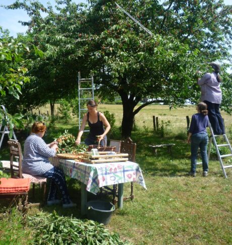 Incluniso - Facilitateur de projets coopératifs et écologiques