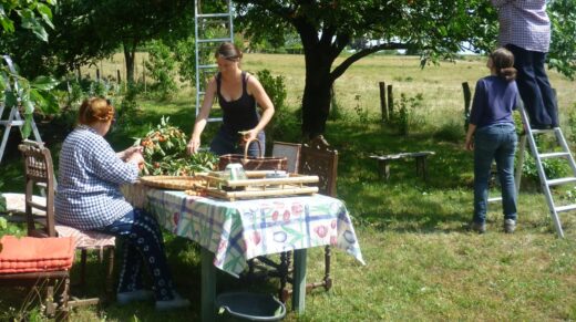 Incluniso - Facilitateur de projets coopératifs et écologiques