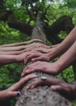 a group of people holding hands on top of a tree