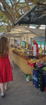 Incluniso - Facilitateur de projets coopératifs et écologiques